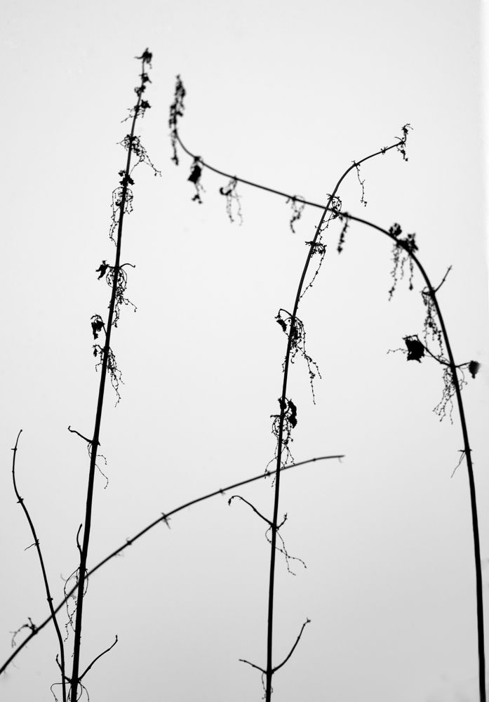 Фотография автора Irina Osadchaia