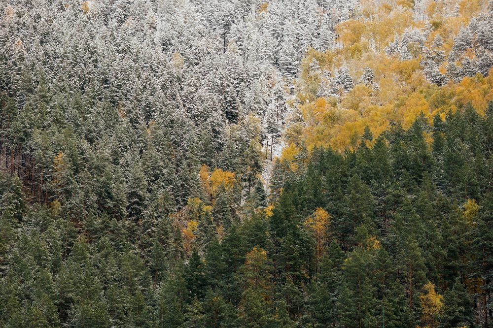 Photograph by Альбина Сагитова