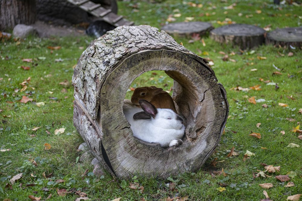 Photograph by Сергей Белов