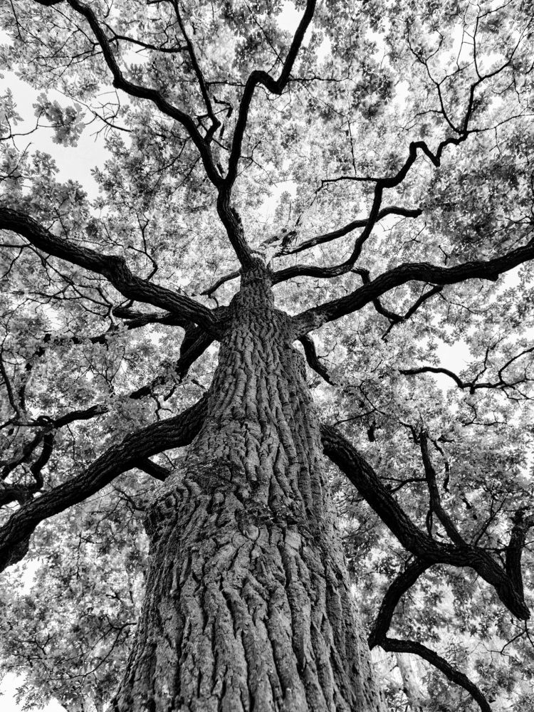 Photograph by Aleksandr Belov