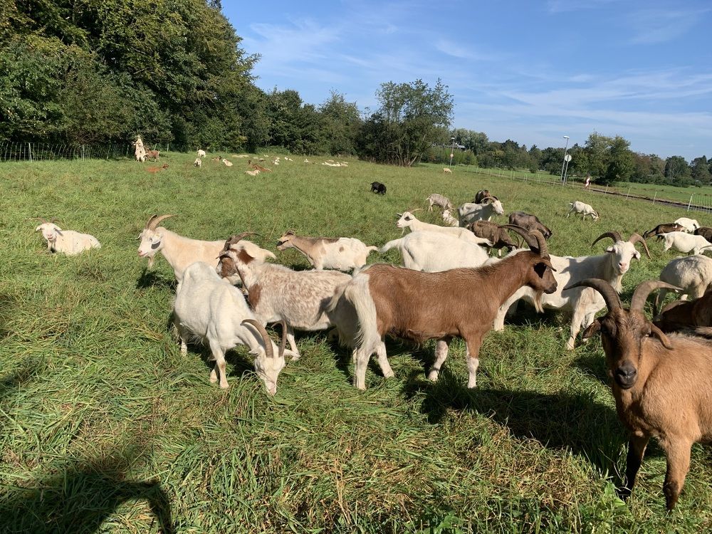 Photograph by Анастасия Мангольд