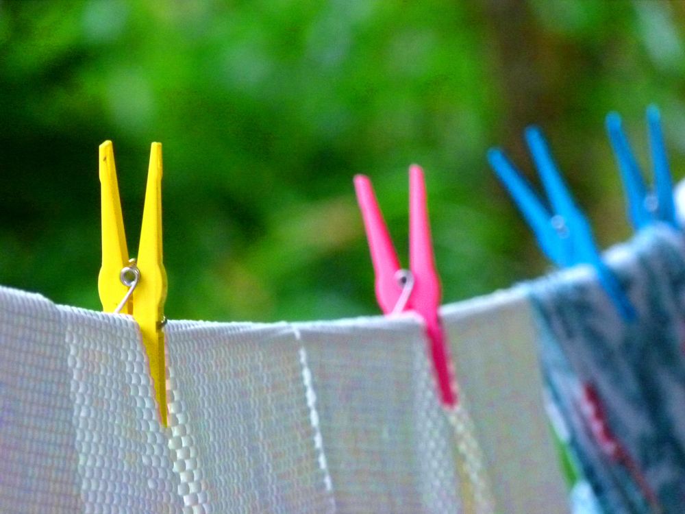 Фотография автора Silvia Tereza Ferrante de Lima