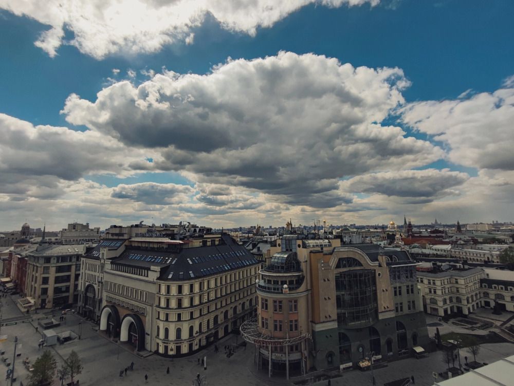 Городские джунгли
