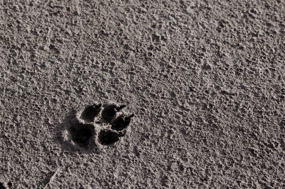 Photograph by SOUFIANE EL KADAOUI