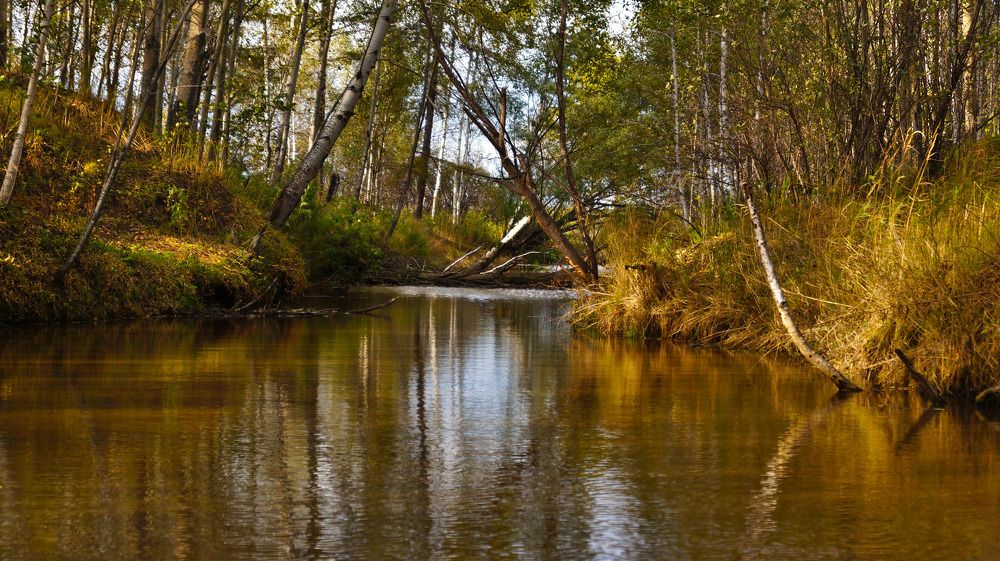 Photograph by Иван Кирилков