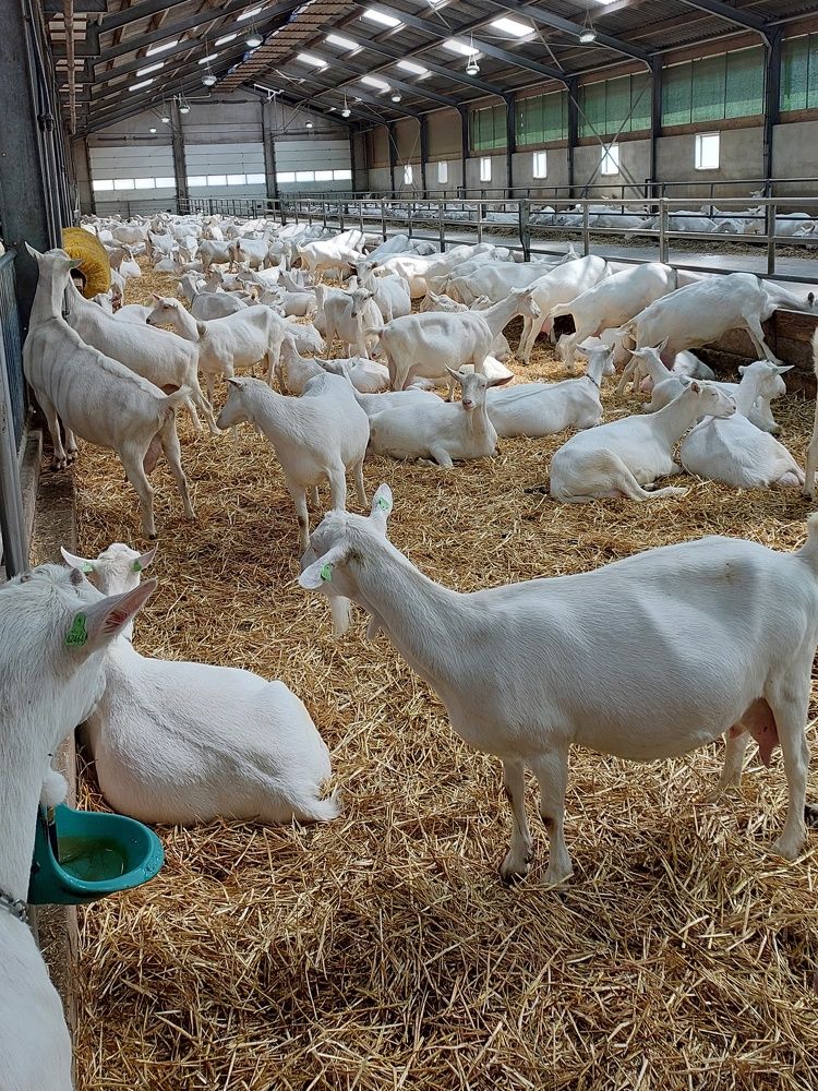 Photograph by Наталия Дроздова