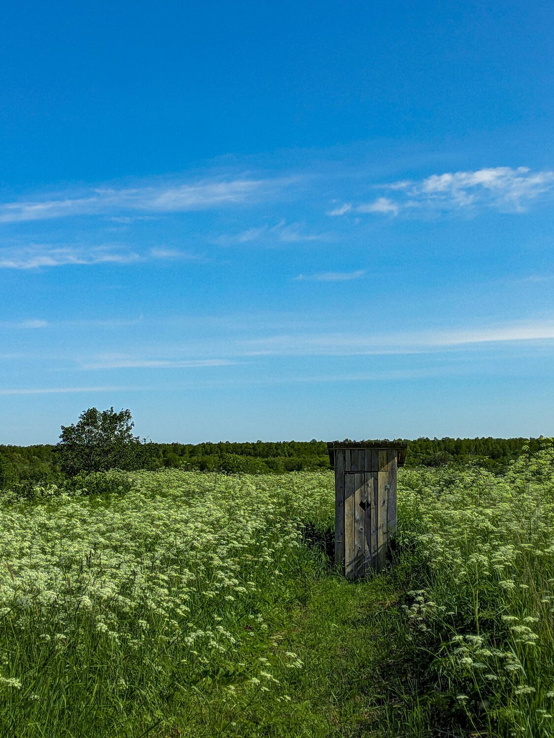 Photo #9615484