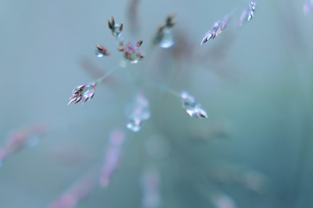 Photograph by lyudmila Soloveva