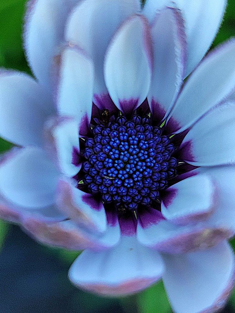 Photograph by Луиза Перегарова