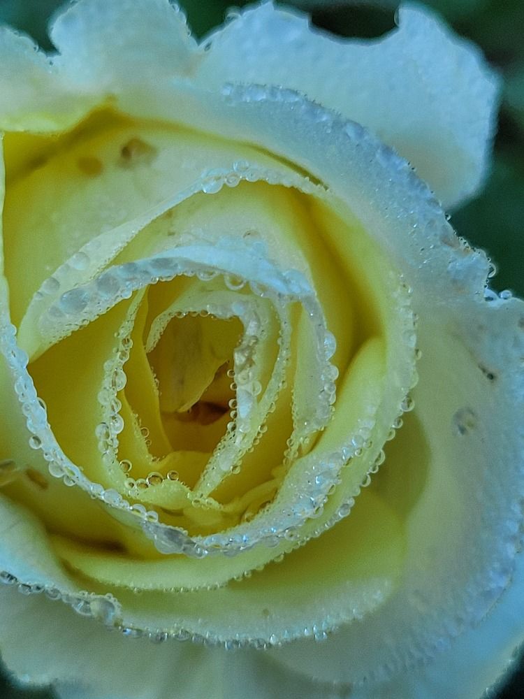 Photograph by Луиза Перегарова