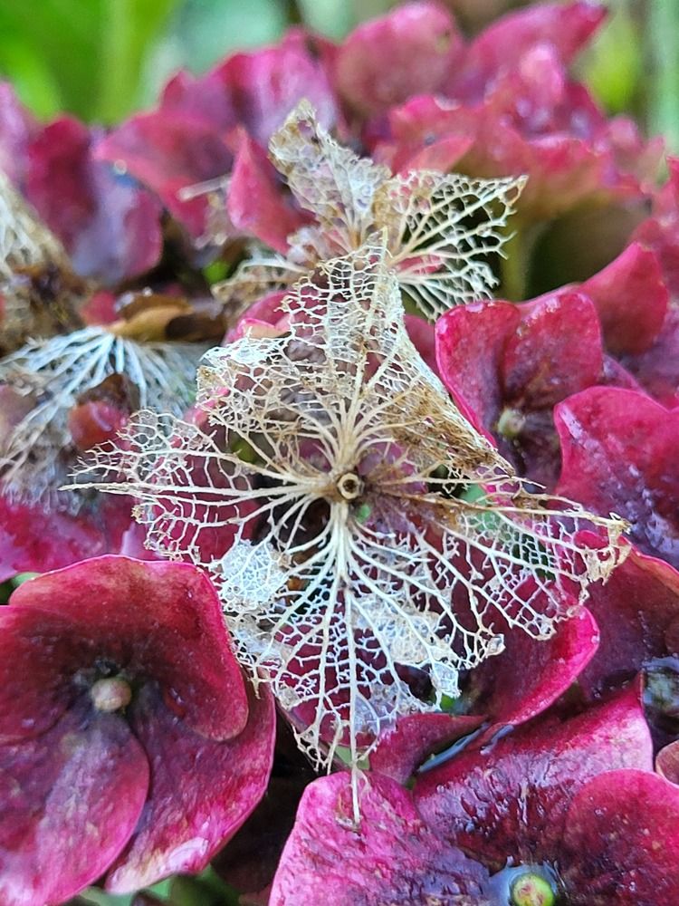 Photograph by Луиза Перегарова