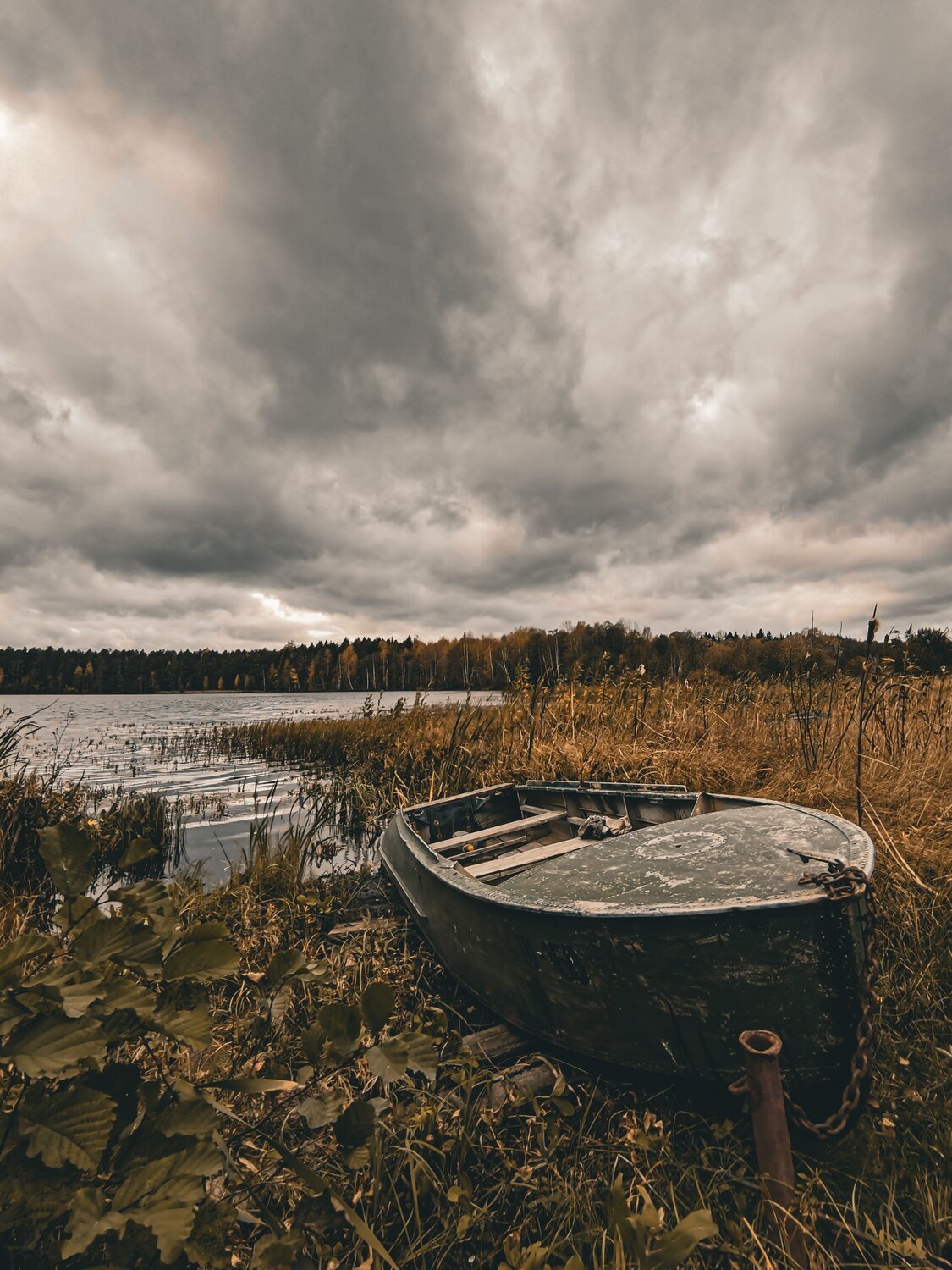 Photo #9615549