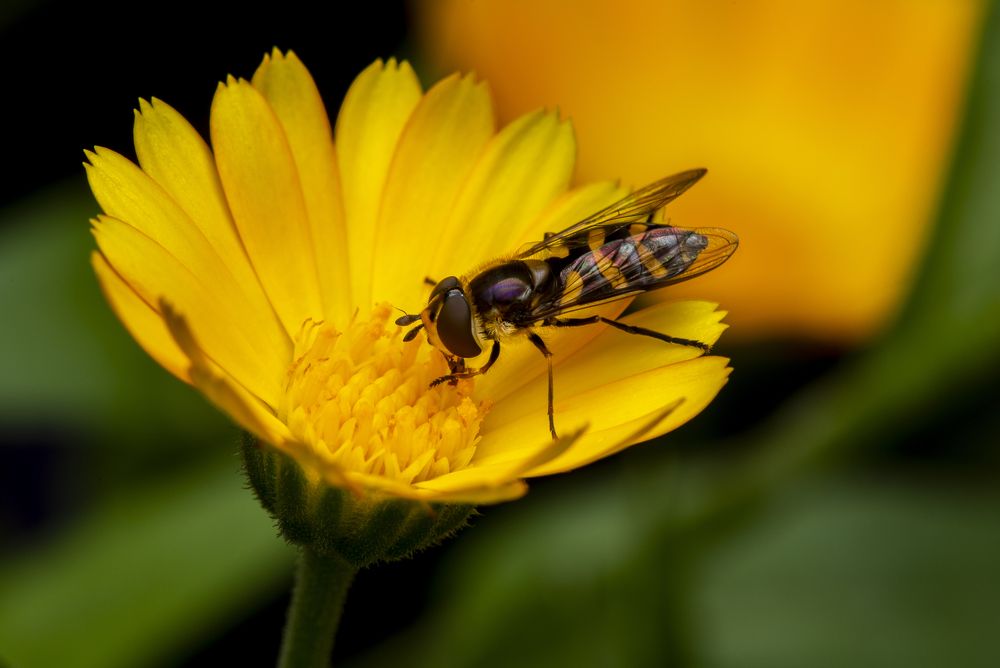 Photograph by Сергей Белов