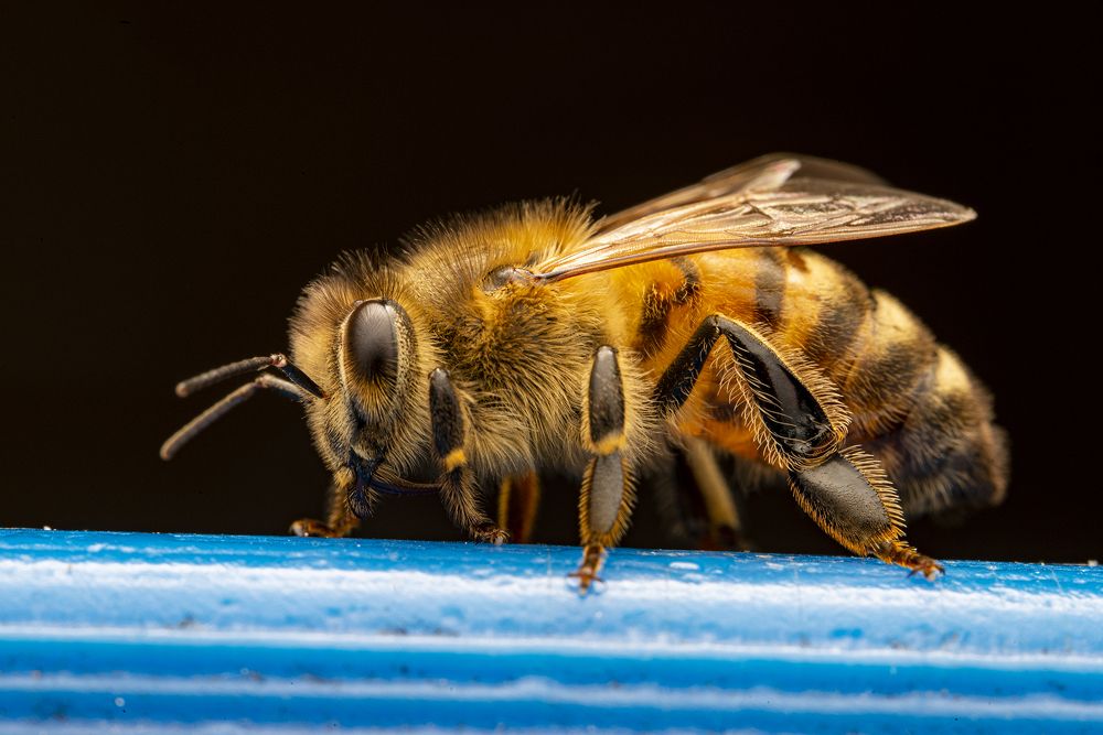 Photograph by Сергей Белов