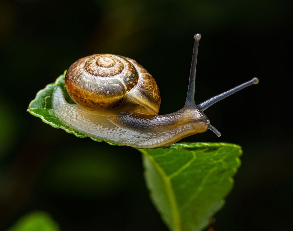 Photograph by Сергей Белов