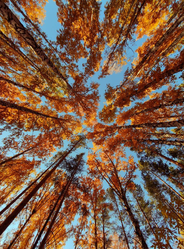 Photograph by Влад Богаткин