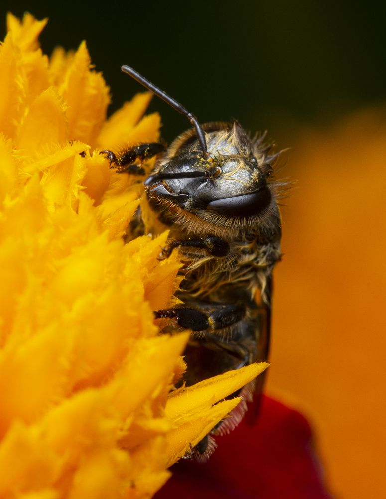 Photograph by Сергей Белов