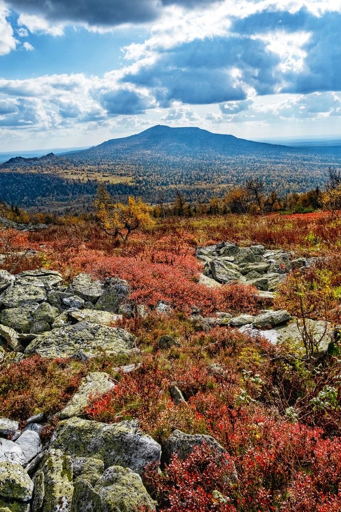 Photograph by Наталья Фрейман