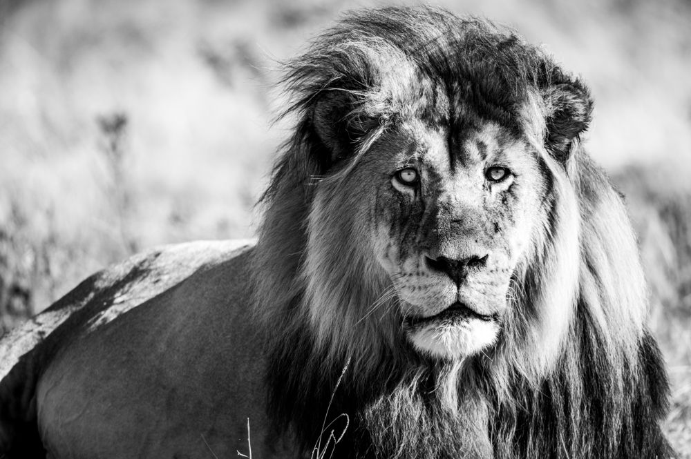 Photograph by Raquel de Castro Maia