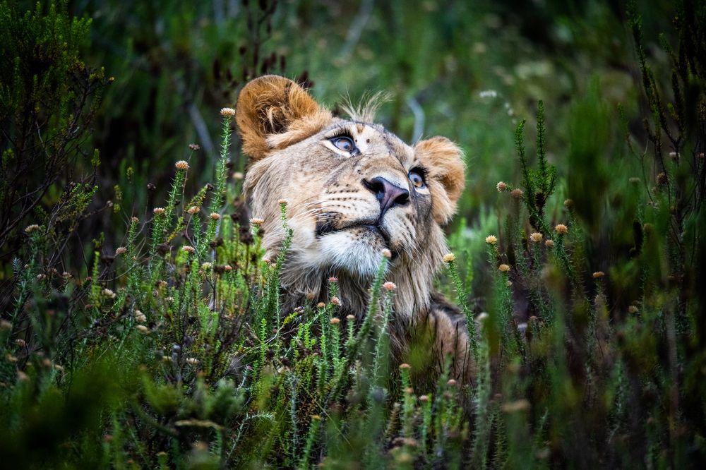 Photograph by Raquel de Castro Maia