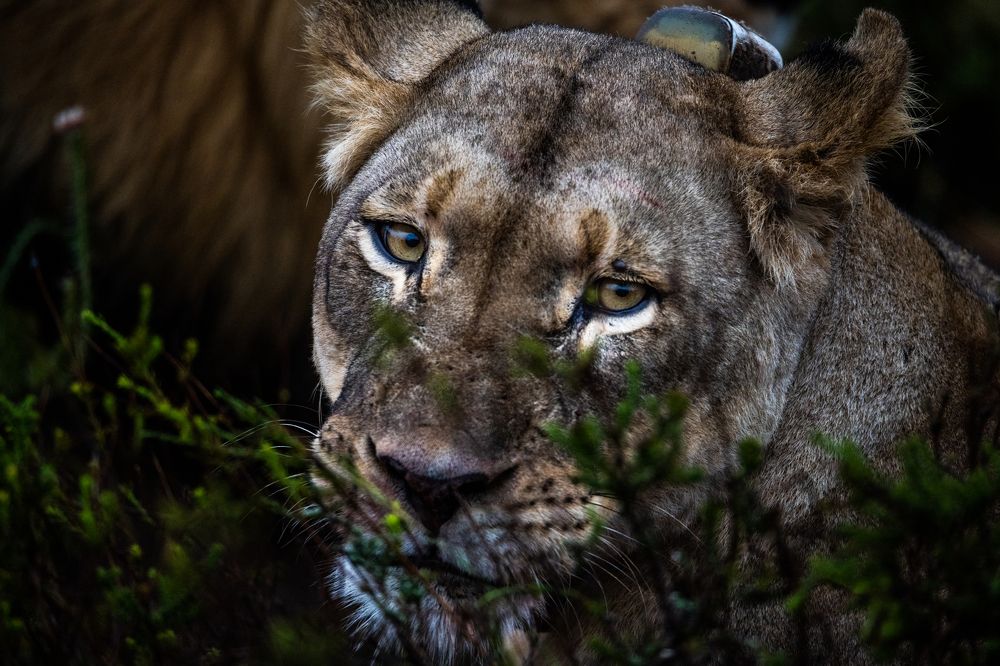 Photograph by Raquel de Castro Maia