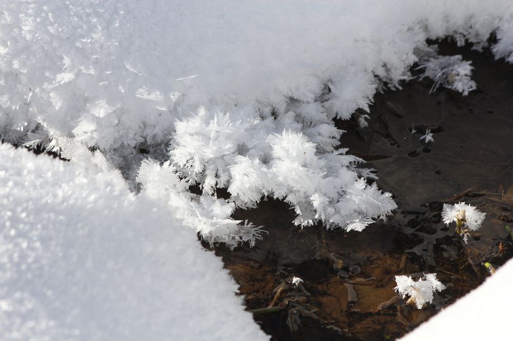 Photograph by Геннадий Лосев