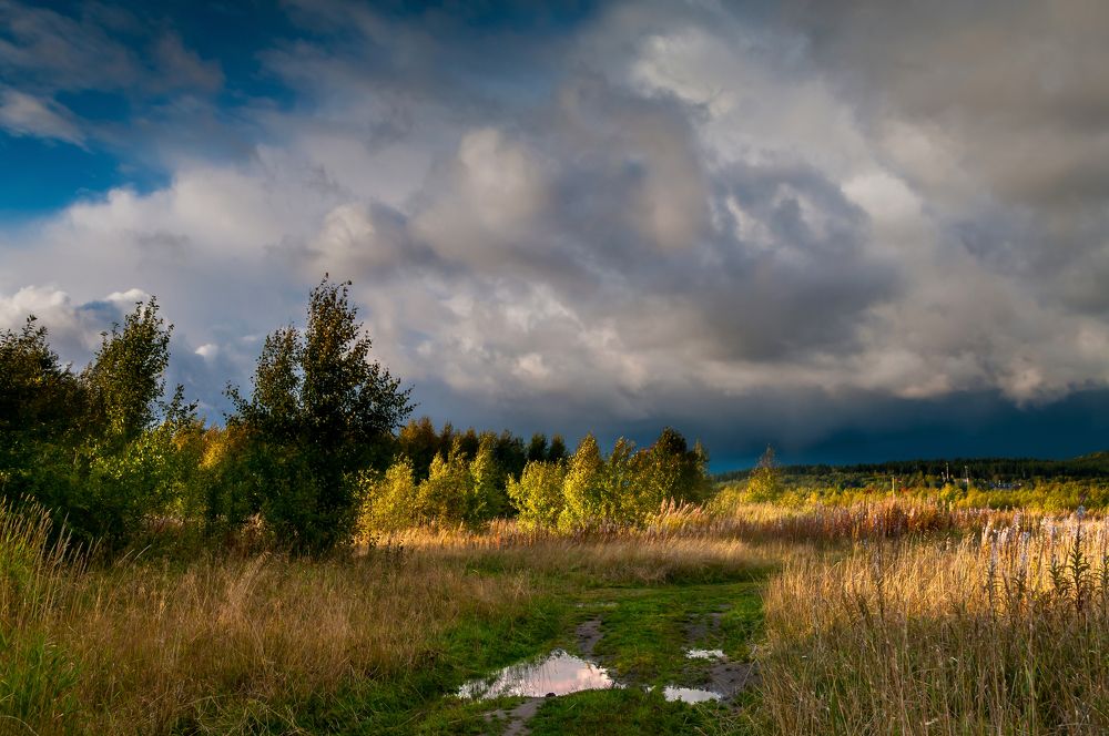 Осенний пейзаж.