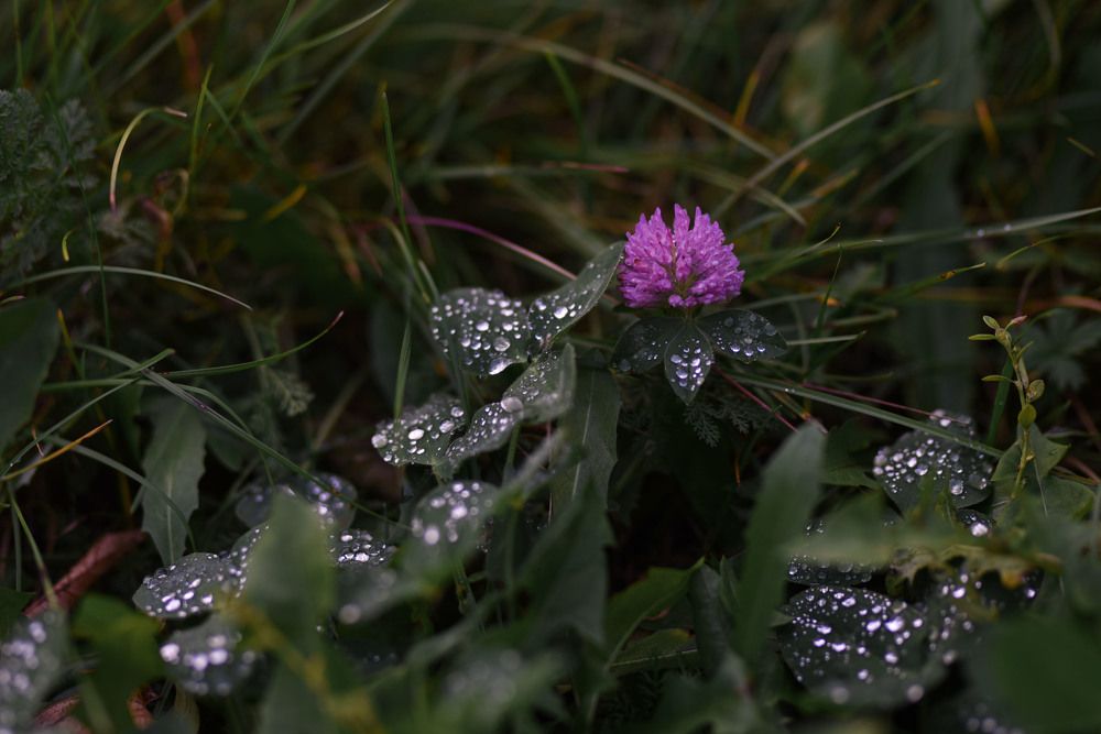Photograph by Виктория Шамурина