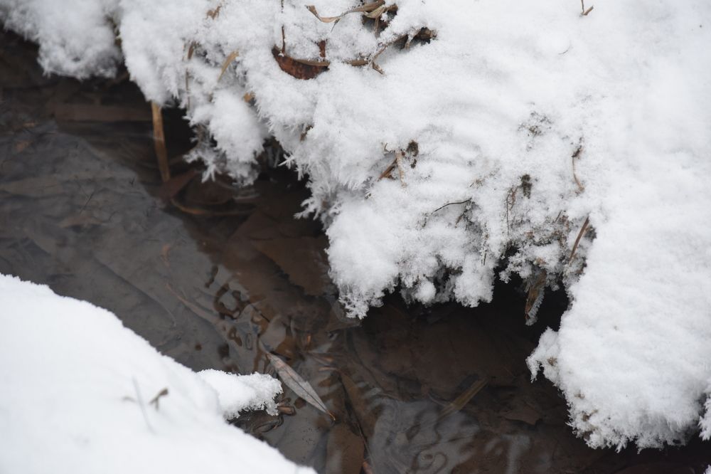 Photograph by Владислав Рубцов