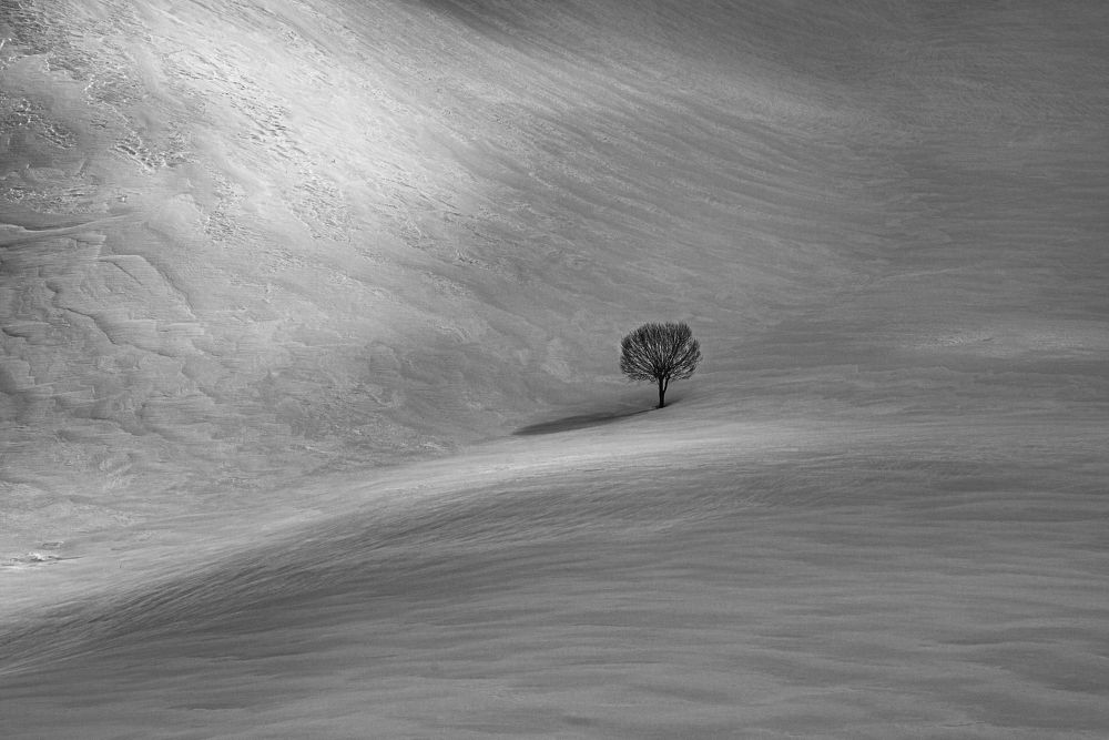 Photograph by Bahir DIBEKOGLU