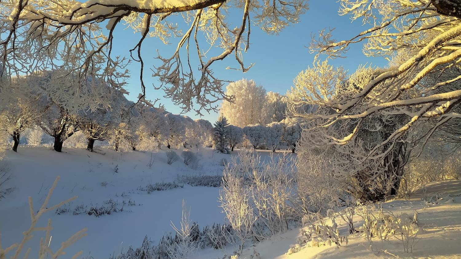 Photo #9615741