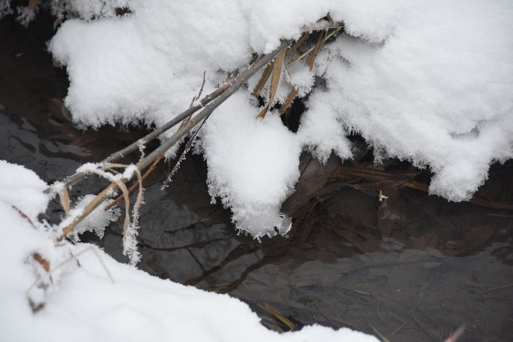 Photograph by Владислав Рубцов