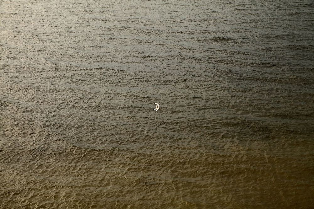 Photograph by Юрий Варюхин