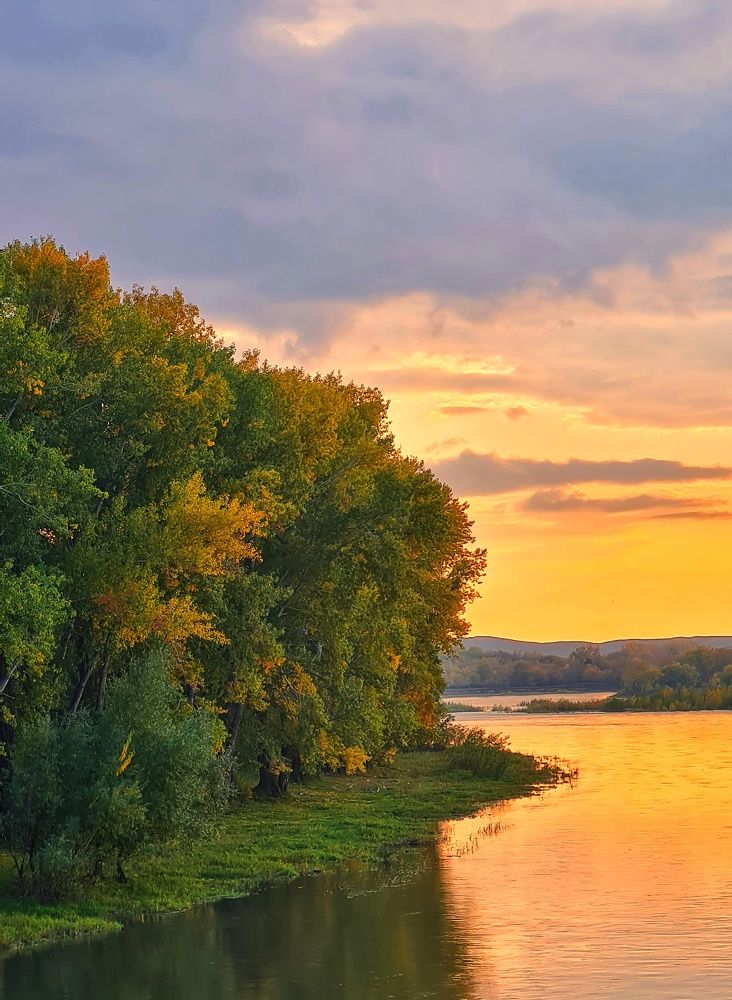 Photograph by Ольга Веселова