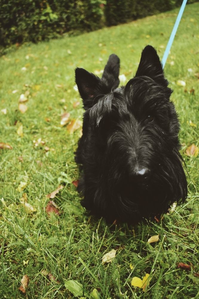 Фотография автора Catherine Shashkova