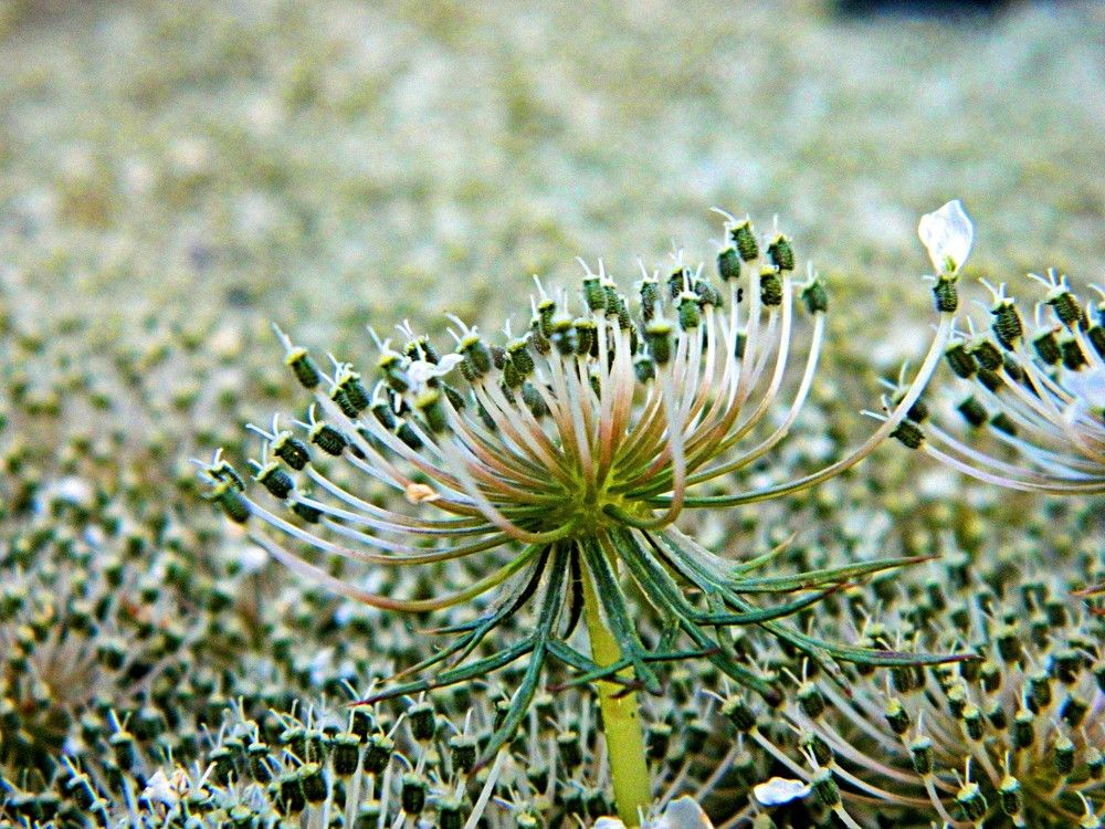 Photograph by Сергей Рапопорт