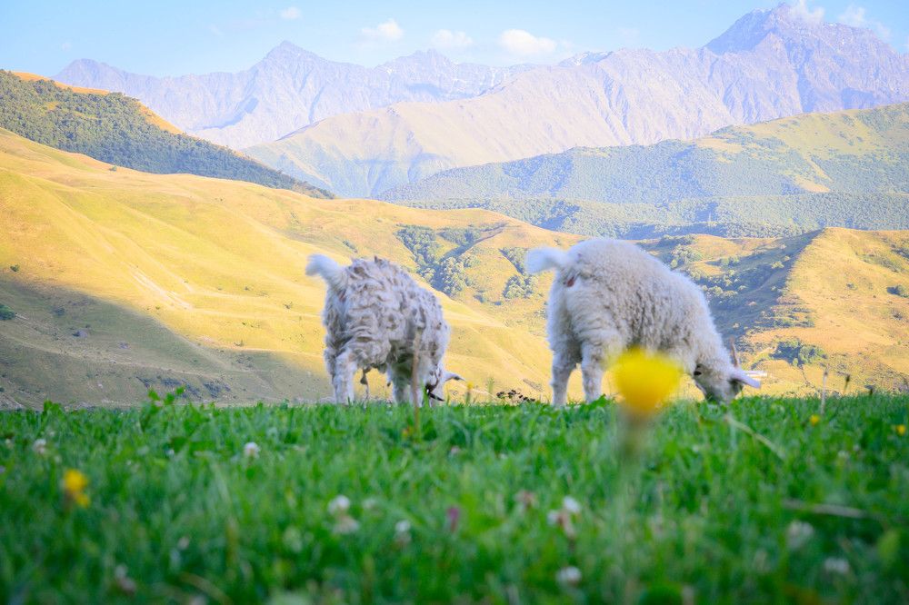 Фотография автора Оксана Белозерская