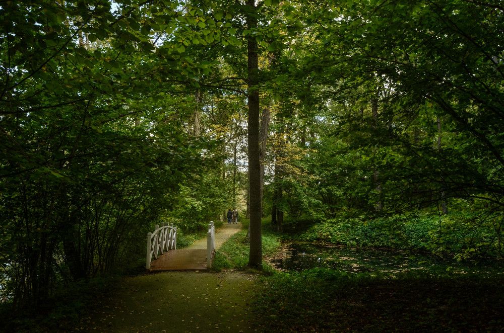 Photograph by игорь герасимовский