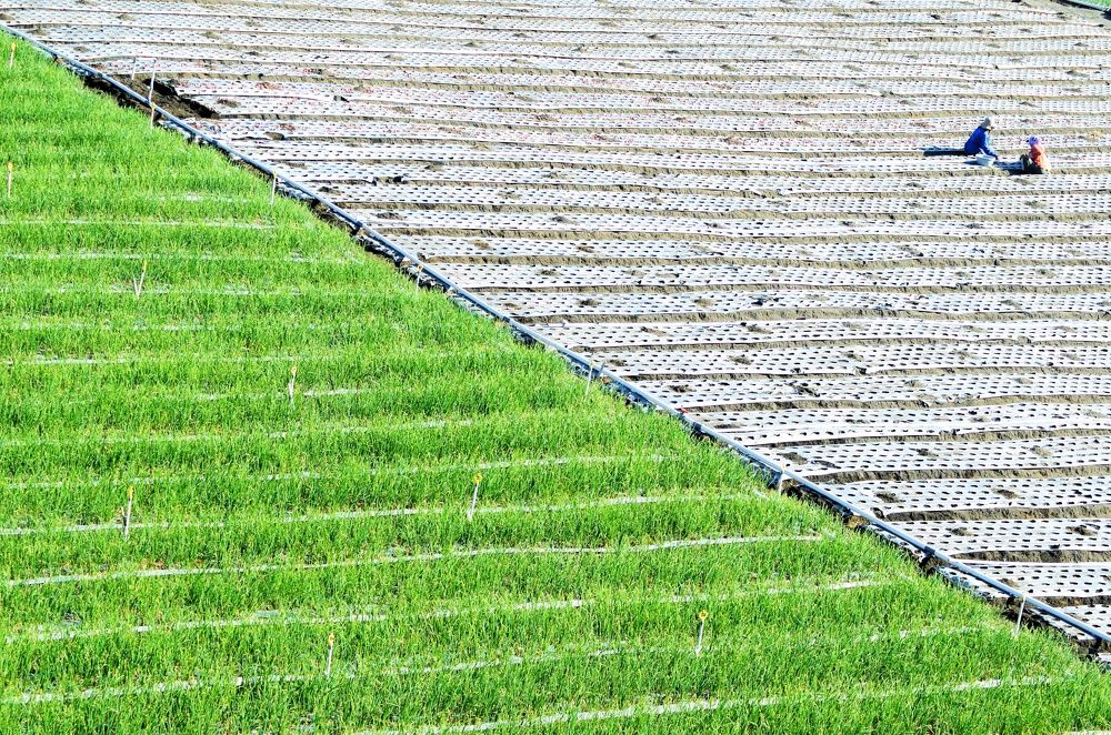 Photograph by indonesia jimtraveler