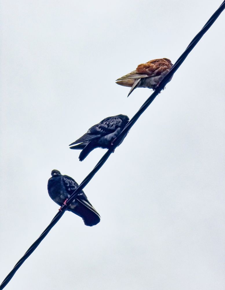 Photograph by Сергей Кесаев