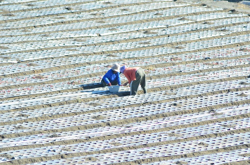 Photograph by indonesia jimtraveler