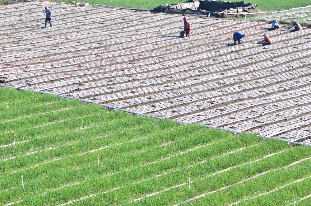 Photograph by indonesia jimtraveler