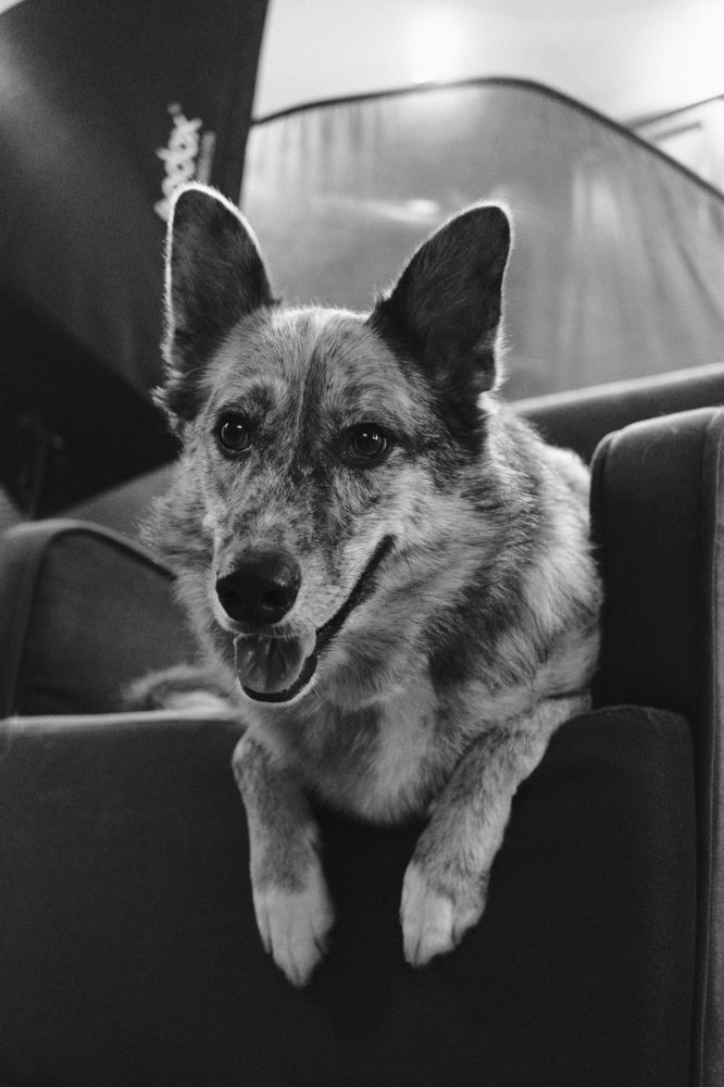Photograph by Михаил Ногин