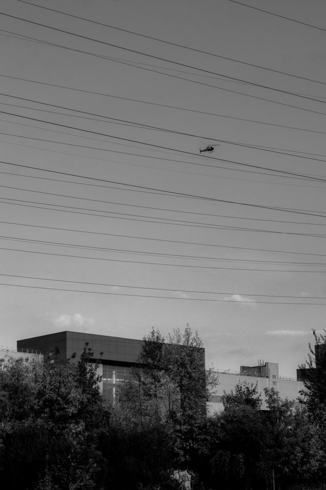 Photograph by Гюзель Даугуль