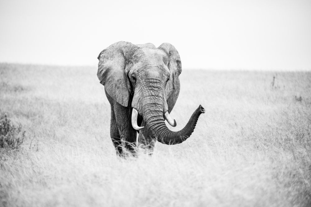 Photograph by Raquel de Castro Maia