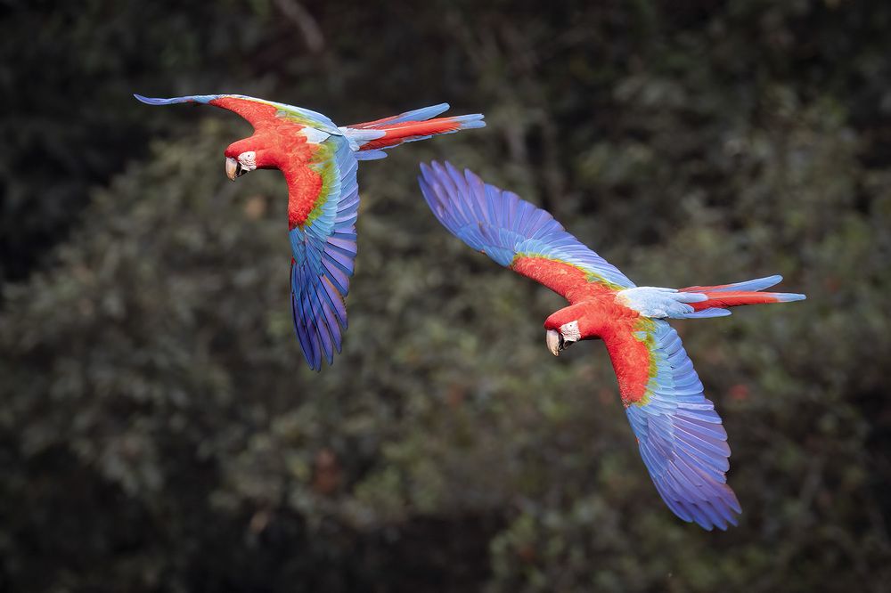 Photograph by Jefferson R O Silva