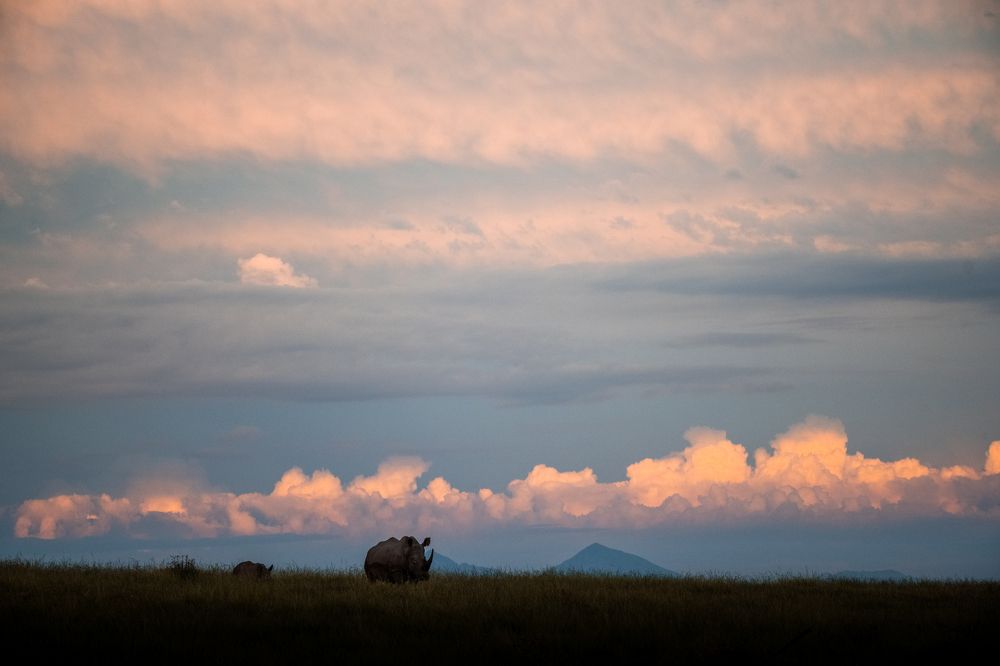 Photograph by Raquel de Castro Maia