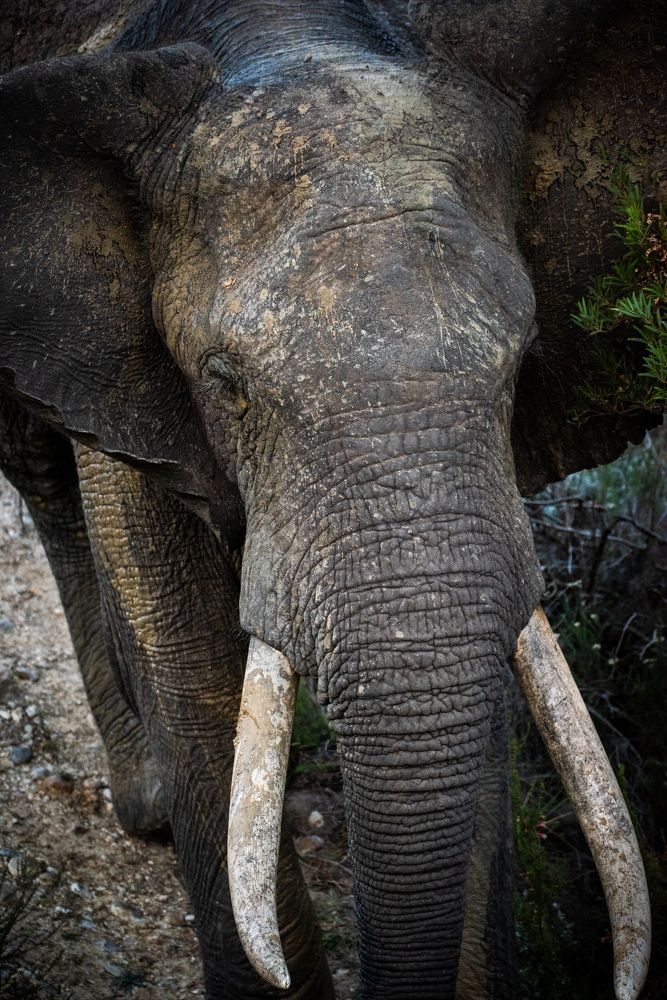 Photograph by Raquel de Castro Maia