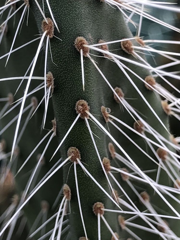 Photograph by Мария Бессмертная