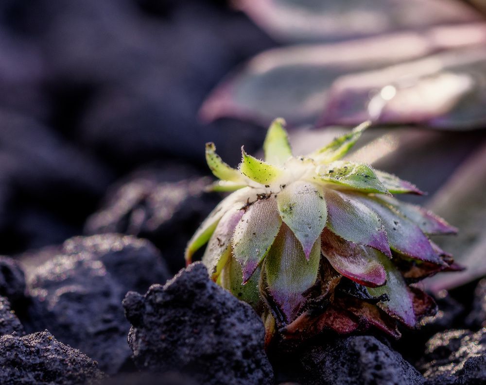 Фотография автора Igor Lukin